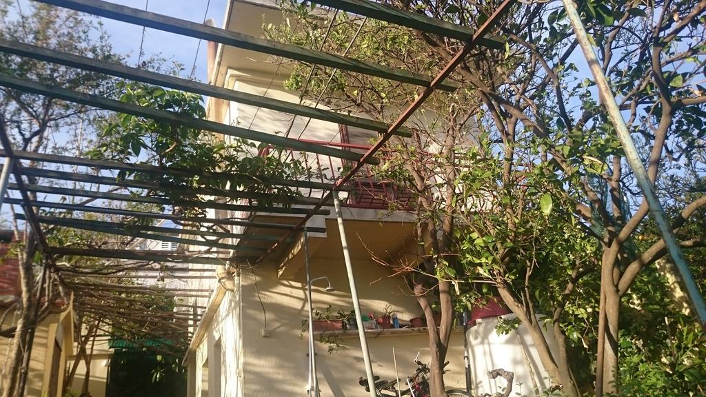 קוצ'ישטה Apartments Petkovic חדר תמונה