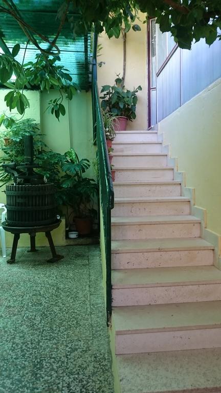 קוצ'ישטה Apartments Petkovic מראה חיצוני תמונה