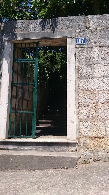 קוצ'ישטה Apartments Petkovic מראה חיצוני תמונה