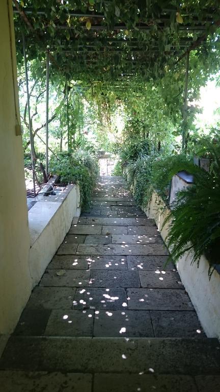 קוצ'ישטה Apartments Petkovic מראה חיצוני תמונה
