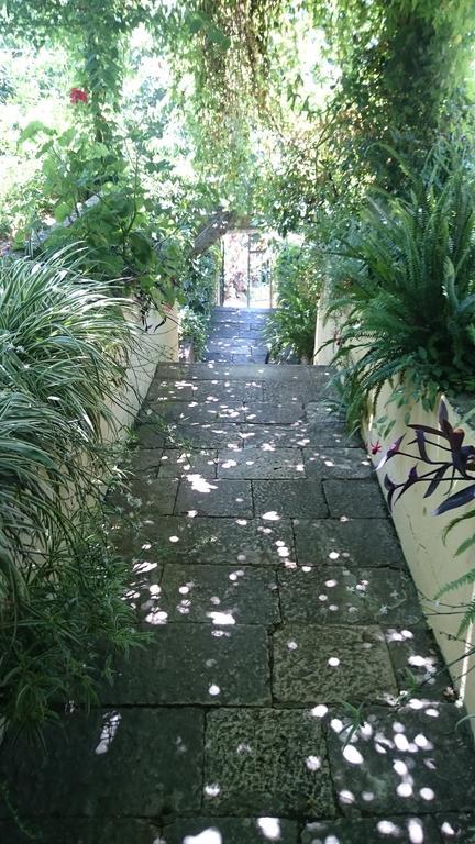 קוצ'ישטה Apartments Petkovic מראה חיצוני תמונה