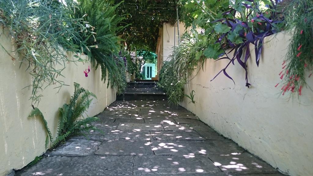 קוצ'ישטה Apartments Petkovic מראה חיצוני תמונה