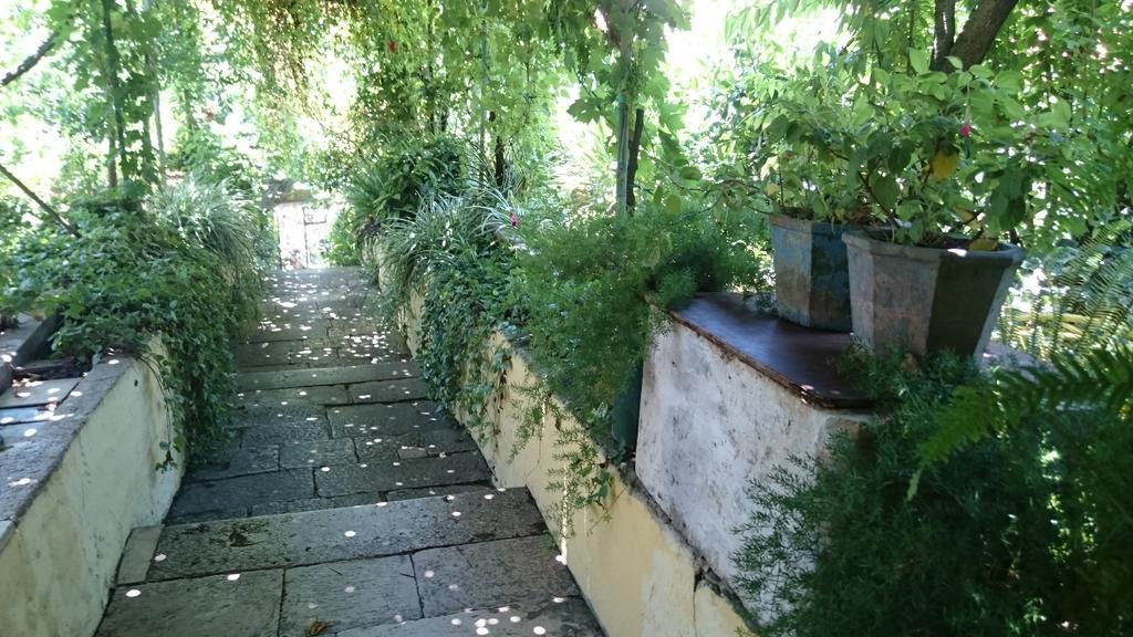 קוצ'ישטה Apartments Petkovic מראה חיצוני תמונה