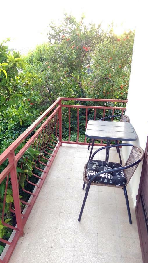 קוצ'ישטה Apartments Petkovic מראה חיצוני תמונה